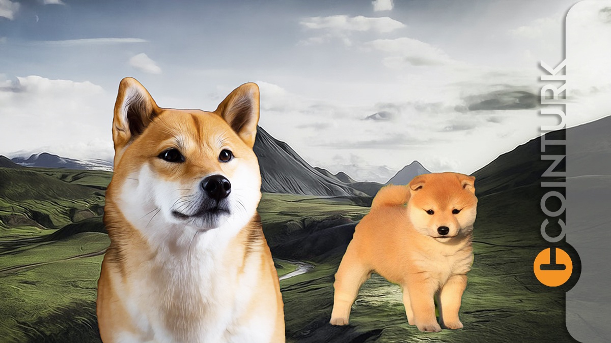 Meme Coin’lerde Son Durum: Pepe Coin, Floki Coin, Bonk Yorumları!