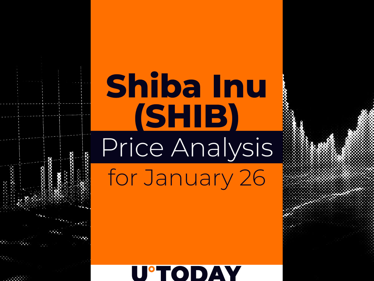 SHIB Price Prediction for January 26