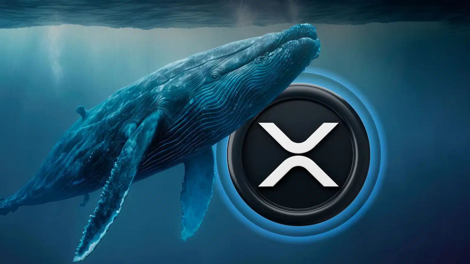 XRP Whales Keep Accumulating as Market Cap Falls 29% Over Three Months, Data Shows