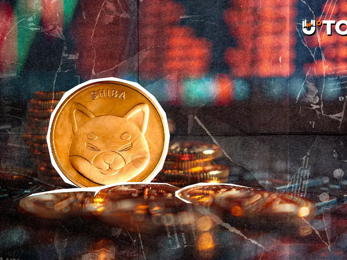 800% Shiba Inu (SHIB) On-Chain Anomaly Sends Important Signal