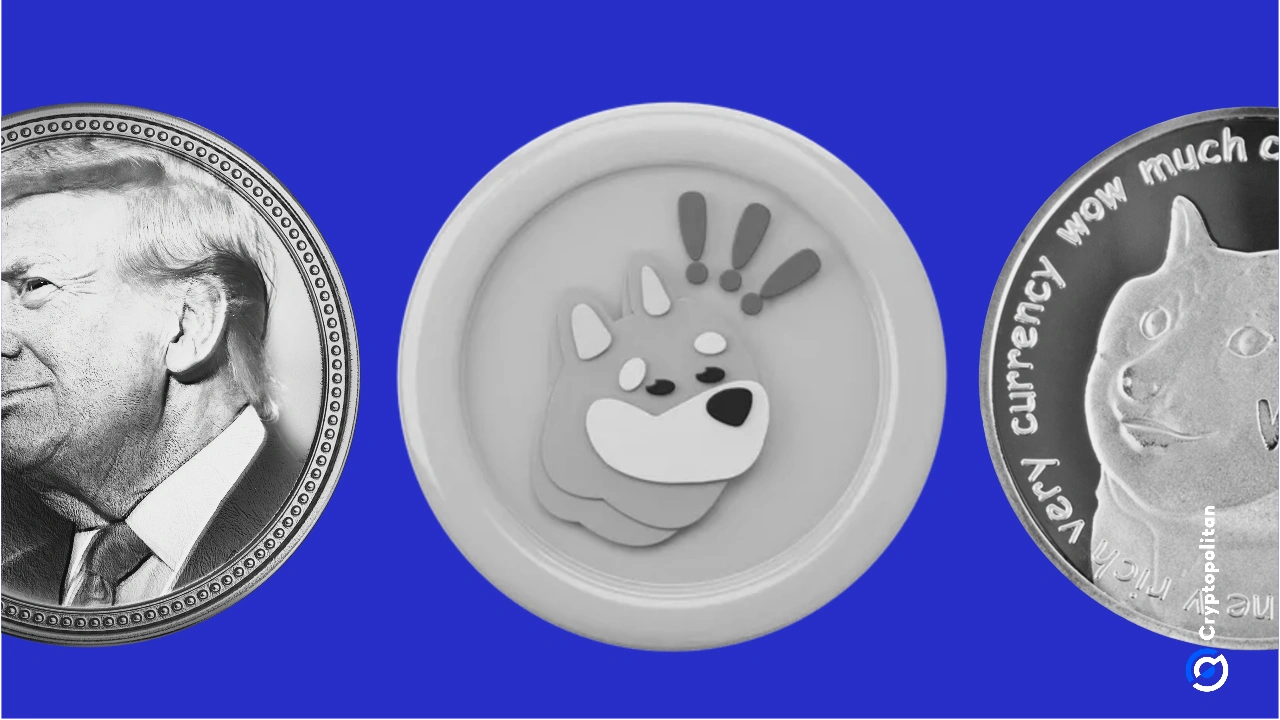 TRUMP, BONK and DOGE proposed for ETF in new filing with the US SEC