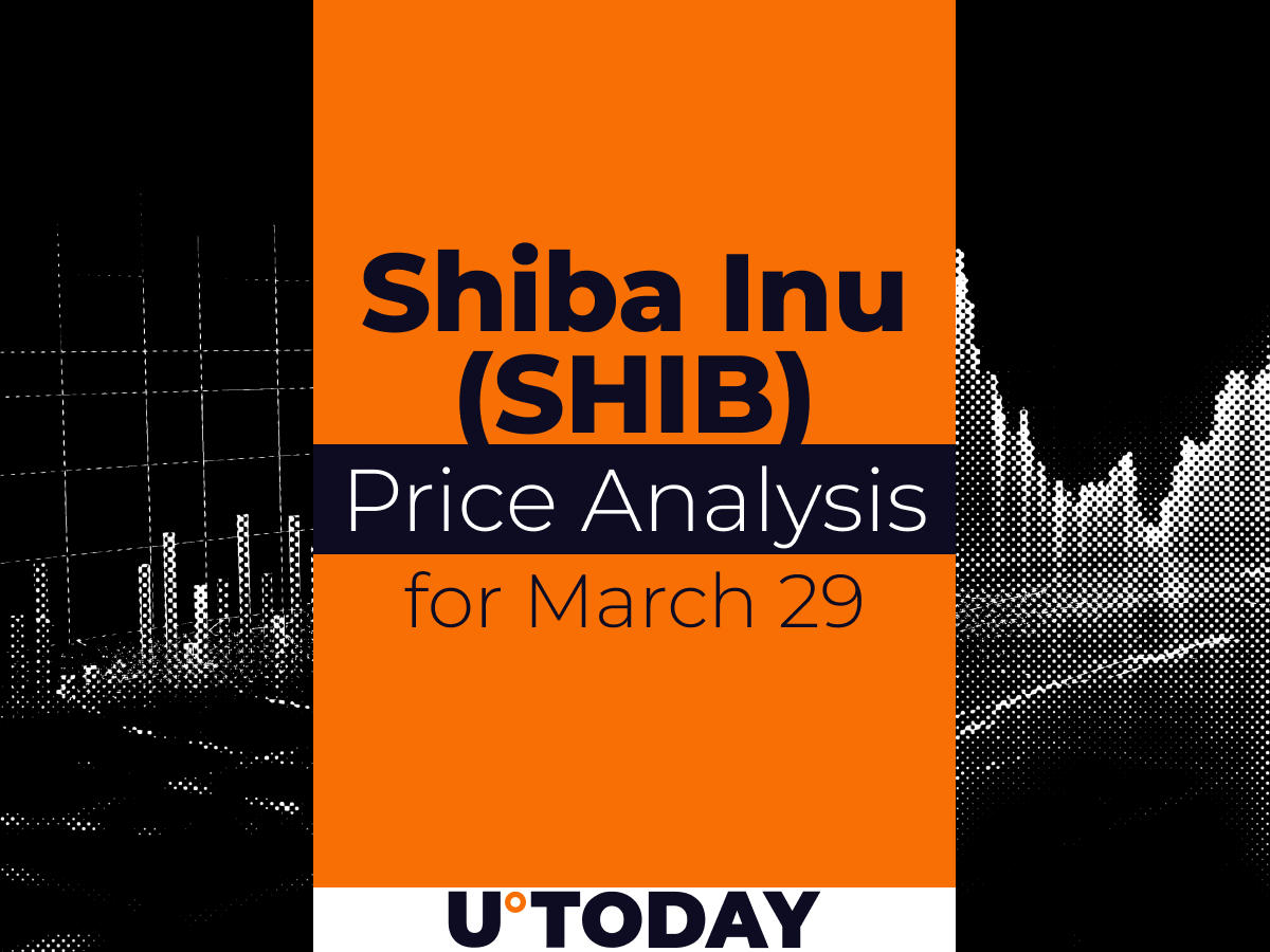 SHIB Price Prediction for March 29