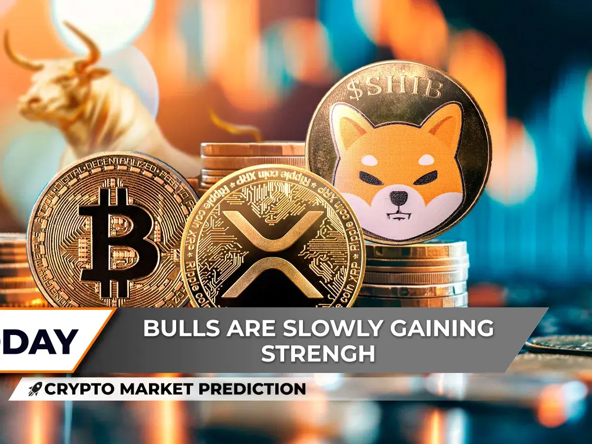 Crypto Market Prediction: No Bitcoin, $100,000 Next Time, Is Shiba Inu (SHIB) Wearing Bull Horns Again? XRP Becoming Dominant