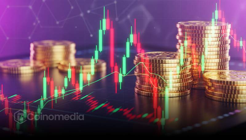 Crypto Market Rebounds But Fear Still Dominates