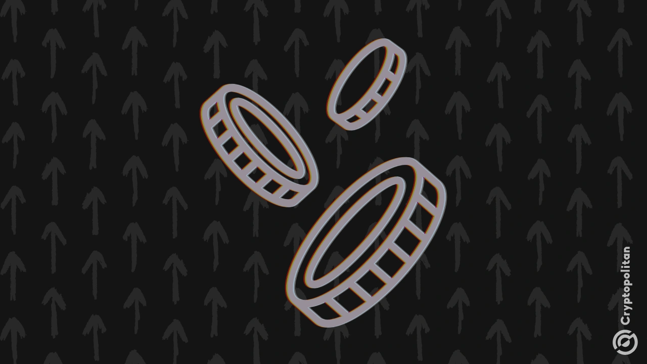 LUNA, JELLYJELLY, and risky memes turn bullish, defying bearish sentiments