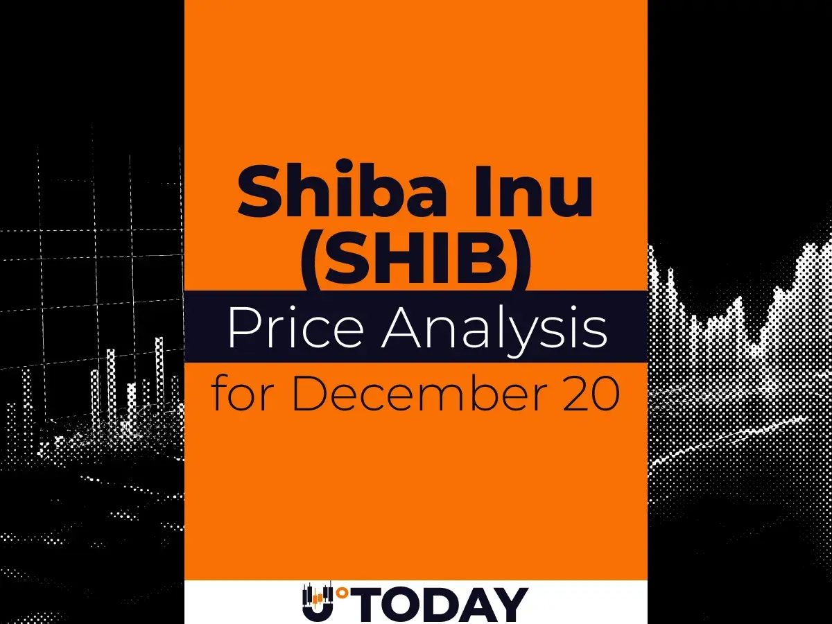 SHIB Price Analysis for December 20