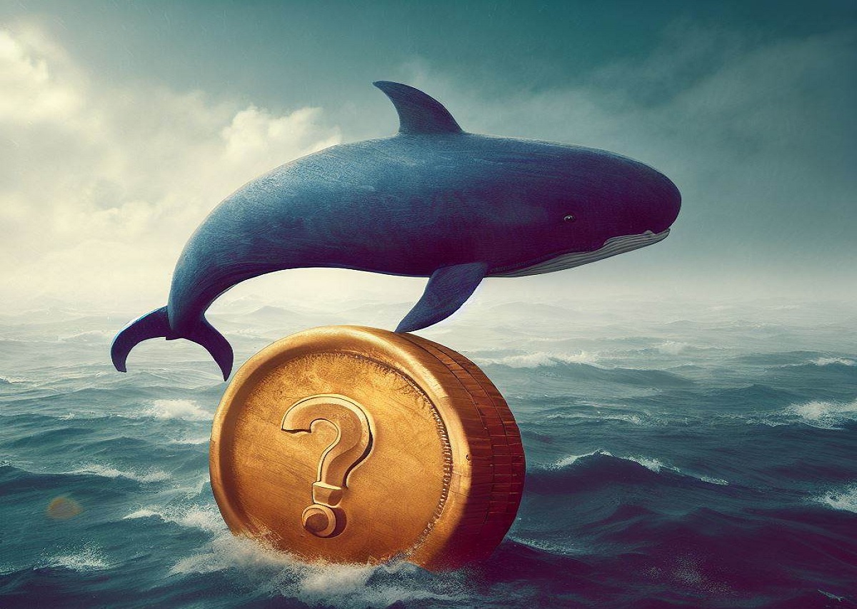According to Onchain Data, Giant Cryptocurrency Whales Have Jumped on These 5 Altcoins Following Recent Developments