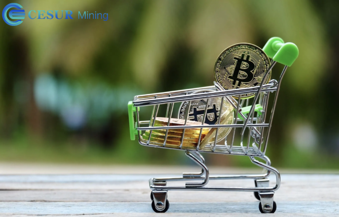 Maximize Your Crypto Earnings with CESUR Mining’s New Cloud Contracts