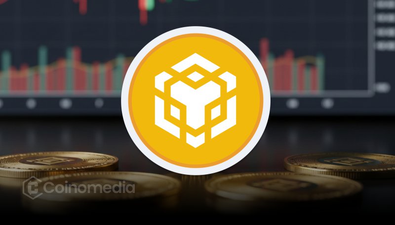 BNB Chain Unveils New Stablecoin to Boost Liquidity