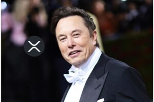 This Trader Urges Elon Musk to Buy $200M XRP. Here’s why
