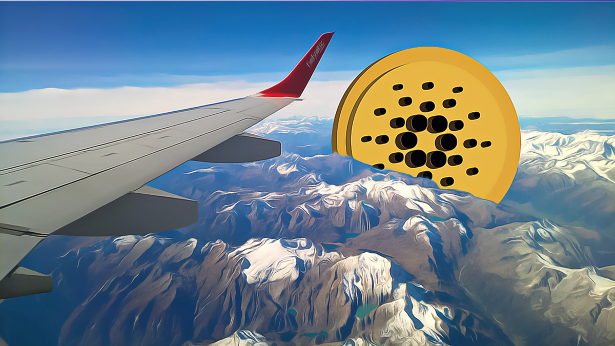 Massive ADA Accumulation Signals Positive Market Vibes