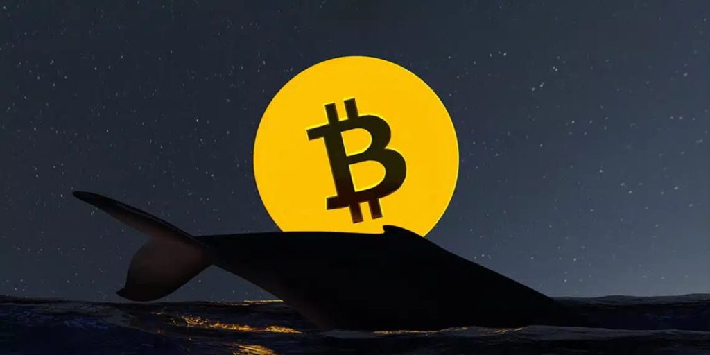 Bitcoin Whale That Remained Inactive for Four Years Transfers Approximately $46 Million Worth of BTC! Here Are the Details