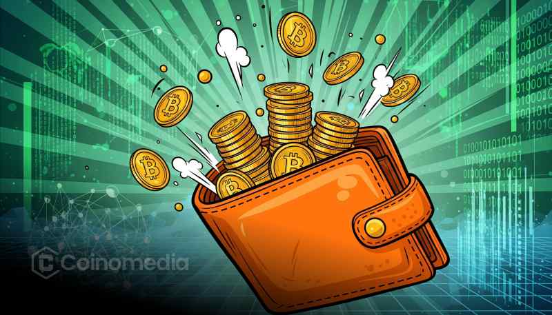 New Bitcoin Whale Wallet Withdraws $171M in BTC