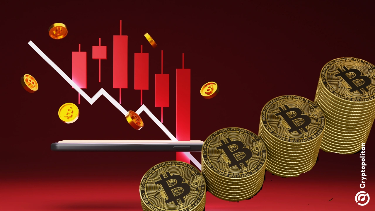 Short-term wallets start to cut losses as capitulation climbs to 2022 FTX crash levels