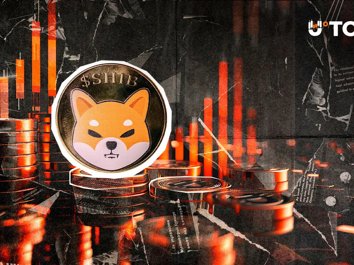 Shiba Inu Metric Crashes to Zero in Year-End Market Positioning: Details
