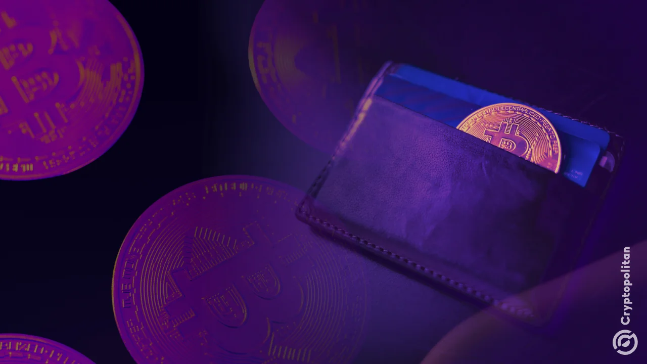 Ex-Zcash developers debut cashZ wallet following project exit