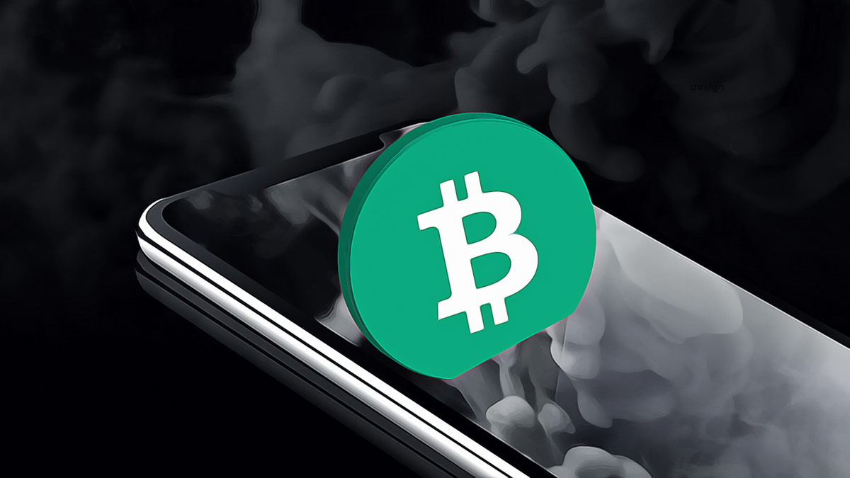 Bitcoin Struggles to Surpass $92,000 as Whale Activity Declines