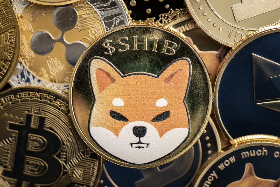 Shiba Inu Team Plans Major Asian Market Expansion with Tours Across Korea, Japan, and China