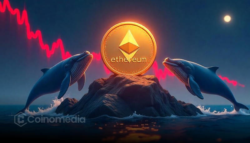 Whale Risks $92.8M Long on ETH Near Peak