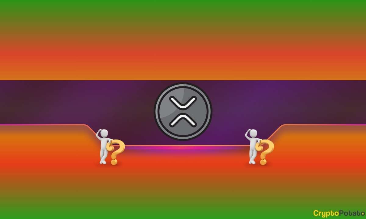 Critical Warning for Ripple Investors: Is XRP Poised to Drop 50%?