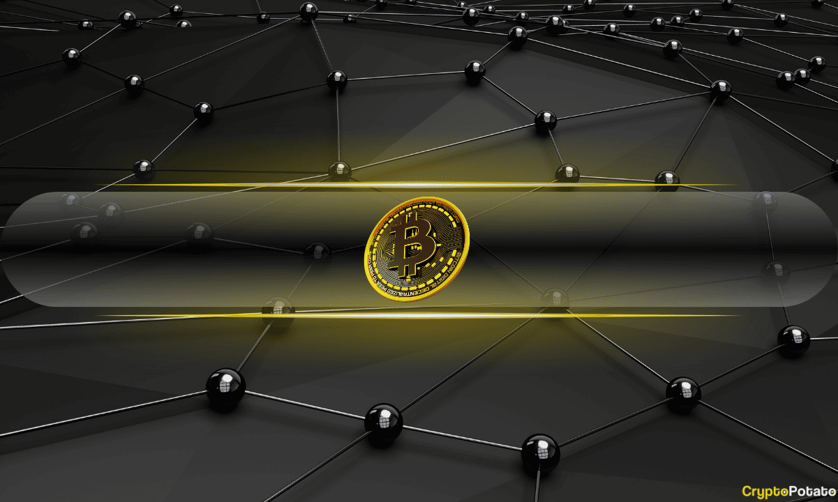 Micro Bitcoin (BTC) Holders Are Vanishing at the Fastest Pace Since December 2024