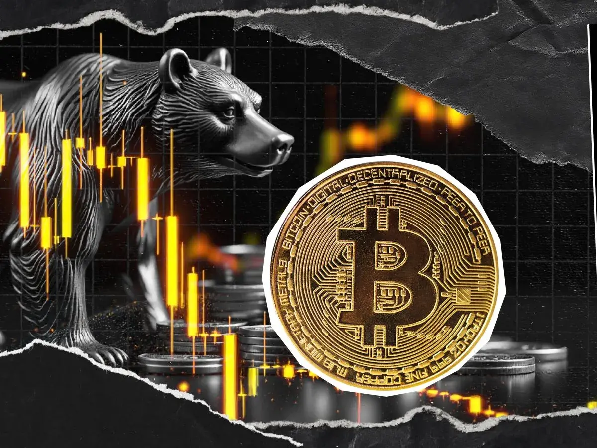 Two Key Reasons Bitcoin Enters Bear Markets: Wall Street Veteran
