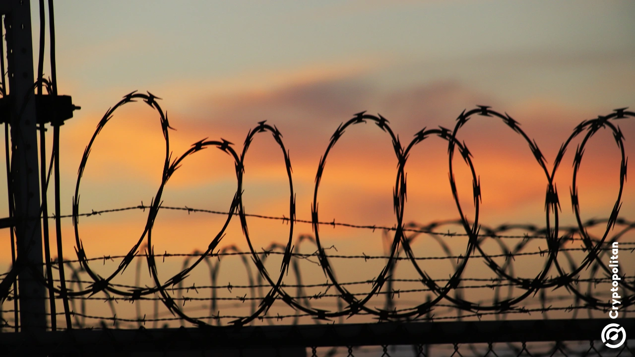 UAE hands over Ponzi scheme Finiko co-founder to Russian authorities