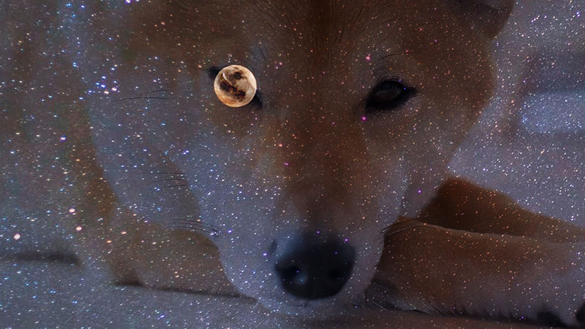 Shiba Inu Sparks Market Buzz with Rising Trends