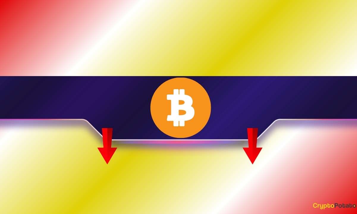 Massive Bitcoin Short From ‘Insider’ Whale Sparks Fears of Market Crash 2.0