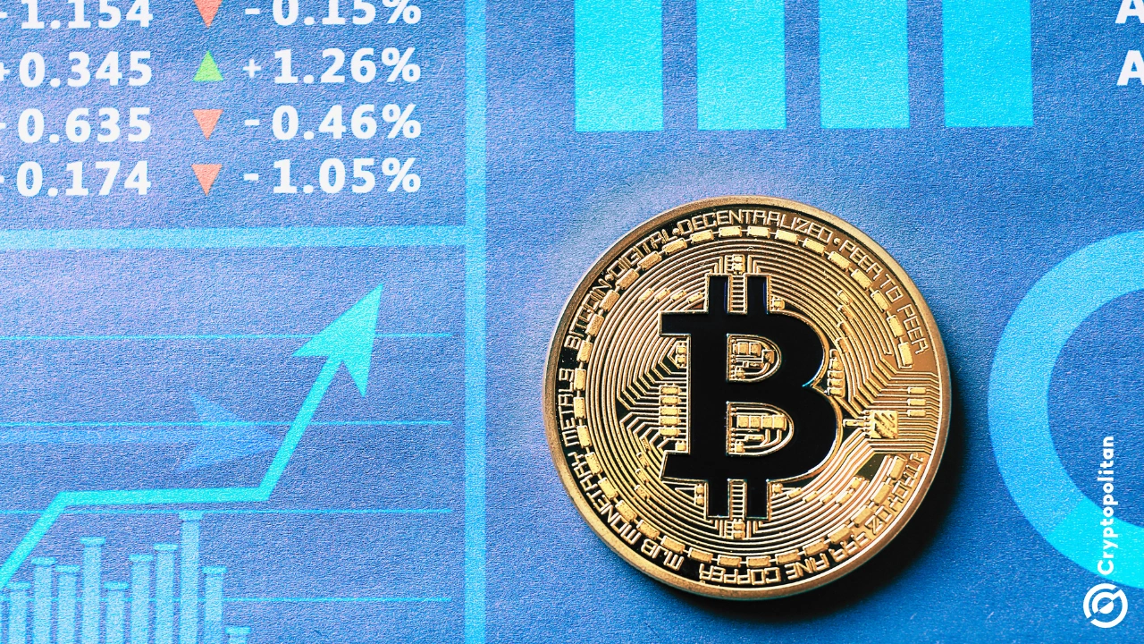 Roxom unveils plans for BTC market for crypto treasury firm stocks