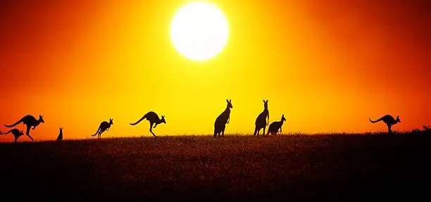 The Australian Government Has Unveiled A Plan To Regulate The Crypto Market