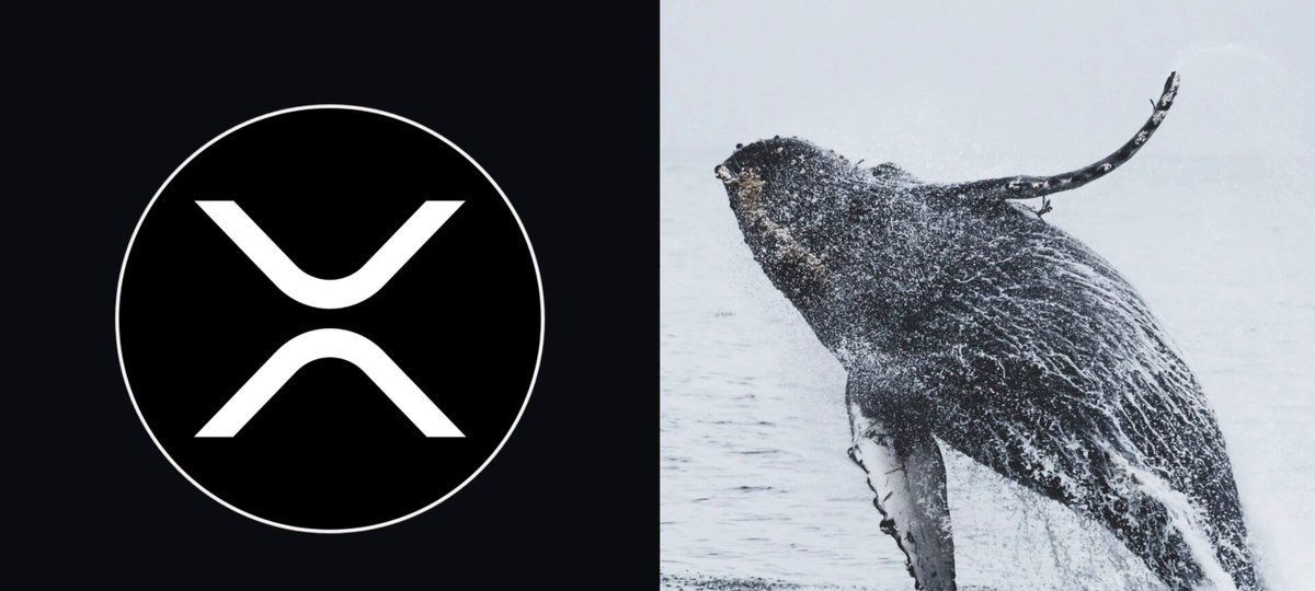XRP Whale Accumulation Surges As Price Jumps 9%