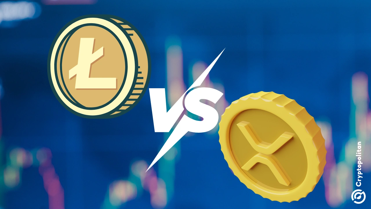 Ripple community unloads on Litecoin over 'rotten eggs' comment