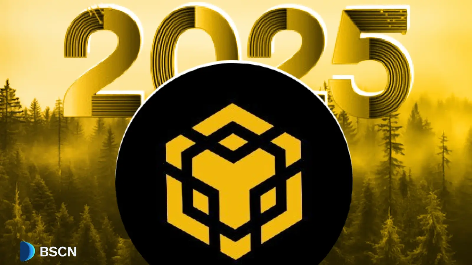 BNB Chain 2025 Updates: What Changed, What Works, and What It Means for Builders and Users