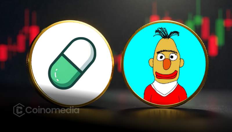 BERT Climbs to #3 Spot in Pump.fun Engagement Rankings