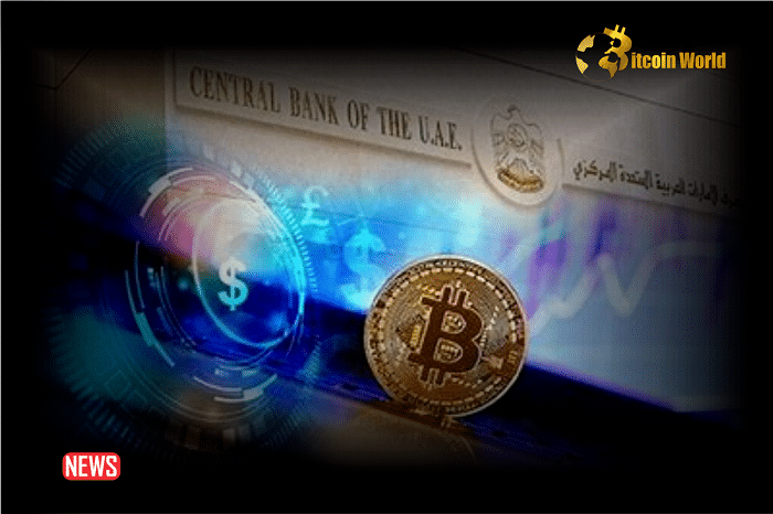 UAE Central Bank Launches Digital Dirham Strategy For Wholesale And Retail Use