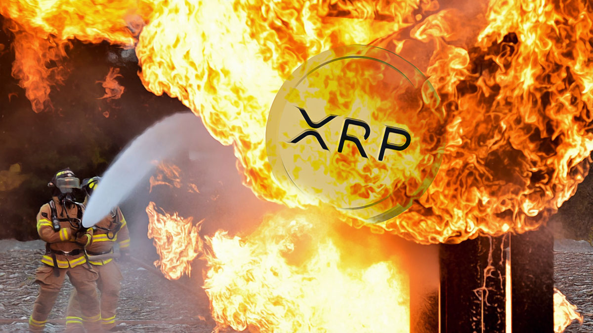 Bill Morgan Questions SEC Allegations on XRP