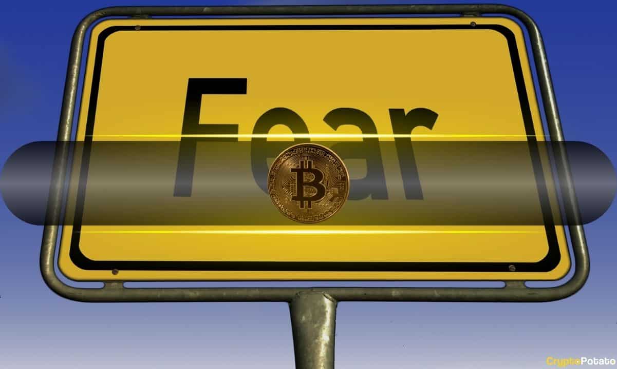 Bitcoin Recovery in Sight? Fear & Greed Index Signals Cautious Optimism