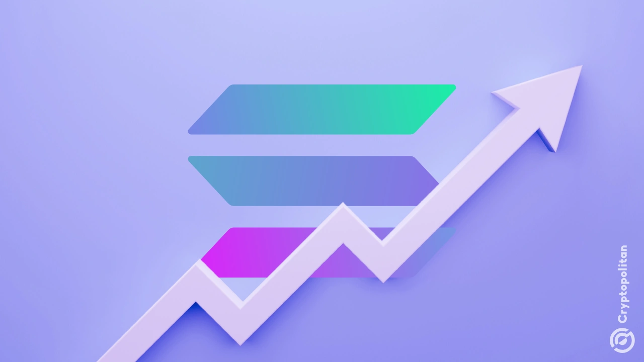 Solana’s on-chain GDP grew by over 300% in Q4, led by memes and bot activity