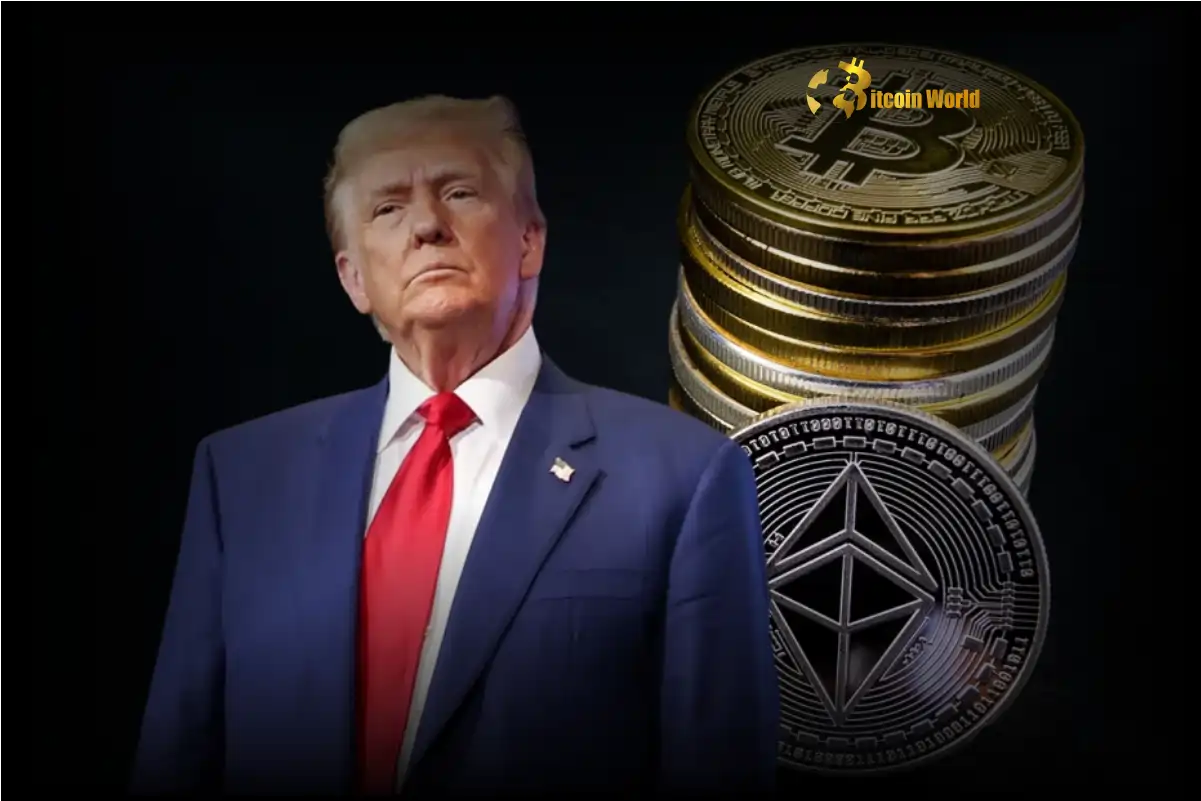 Urgent Warning: Trump Crypto Ventures Trigger Political Risk for US Regulations