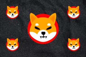 Shiba Inu (SHIB) Team Reaches Out to Elon Musk: Details