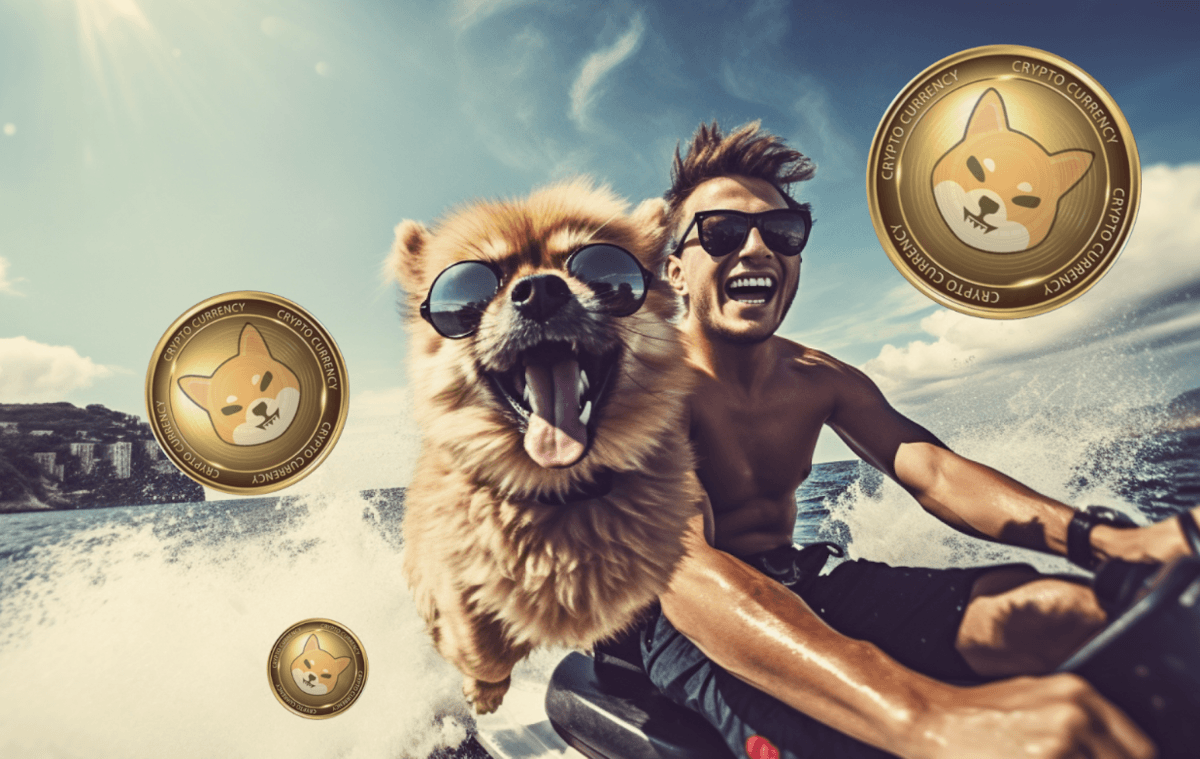 Pomerdoge’a (POMD) İlgi Mi Var? Shiba Inu (SHIB) ve Bitcoin (BTC) Yorumları