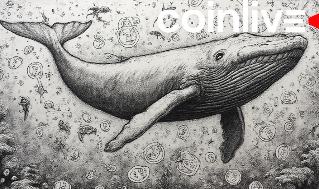 Bitcoin Whales Accumulate 248K BTC in July 2025