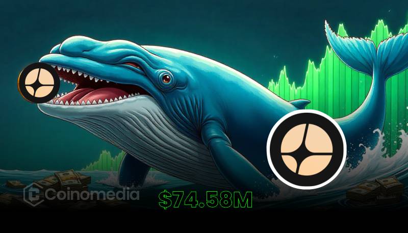 Whale Buys $74.58M in Aster, $10 Target Buzz Builds