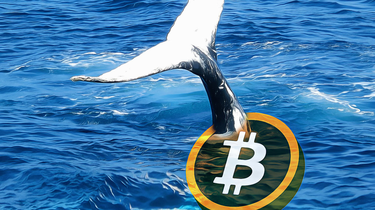 JPMorgan Launches Innovative Investment Tied to Bitcoin Cycles