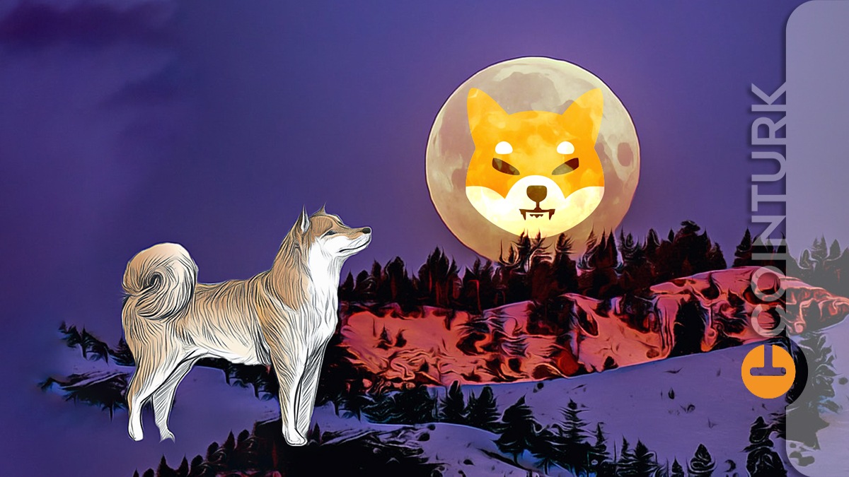 Shiba Inu’da (SHIB) Dönüm Noktası Geldi Mi? Piyasalarda SHIB Rüzgarı Ne Zaman?