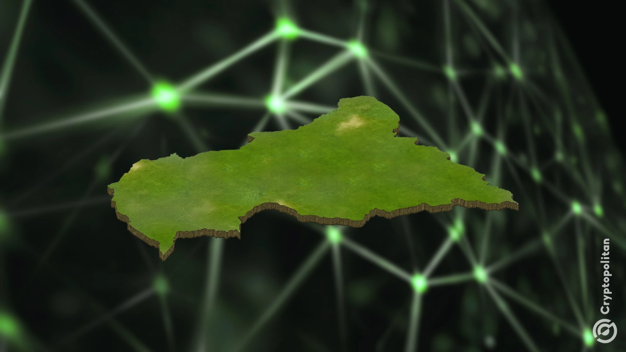 Study warns Central African Republic's unclear digital currency programs could allow foreign criminals to seize state property ahead of Dece...