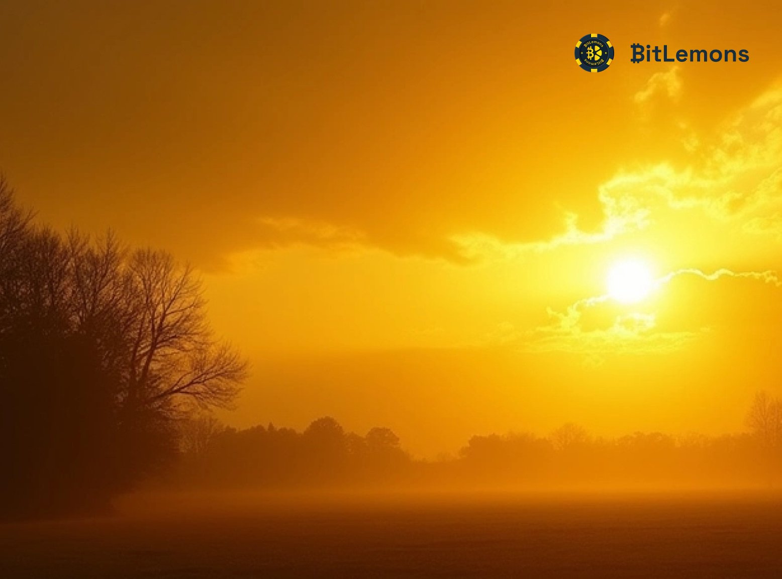 Solana Finds Sunlight, Dogecoin Faces Clouds, BitLemons ($BLEM) Offers the Perfect Shelter