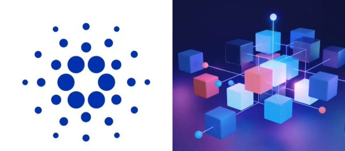 Cardano Hits Highest Daily Transaction Volume of the Week