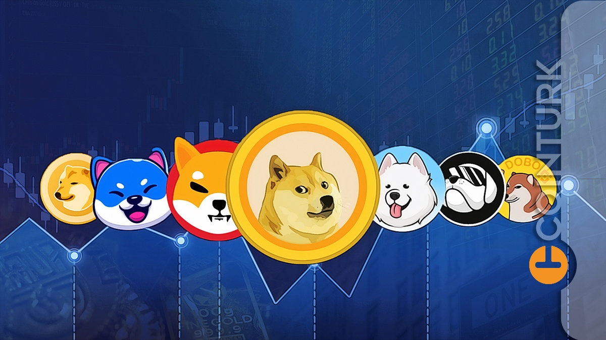 DOGE ve SHIB’i Unutun! Bu Meme Coin’i Kim Durduracak? Bir Kez Daha ATH’sine Ulaştı!